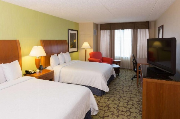 Hilton Garden Inn Buffalo Airport image 13