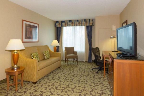 Hilton Garden Inn Buffalo Airport image 15