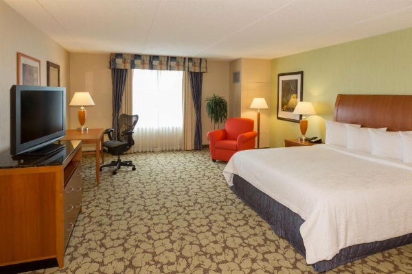 Hilton Garden Inn Buffalo Airport image 16